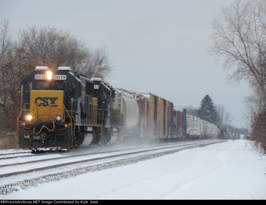 CSX 8619 